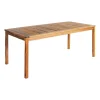 Acadia Outdoor Long Table 30" x 60" (Ready to Assemble)
