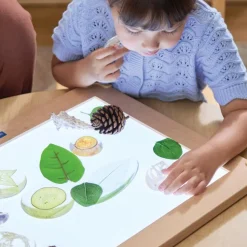 Acrylic Nature's Cross Sections
