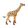 African Animals Collection 6 Pieces