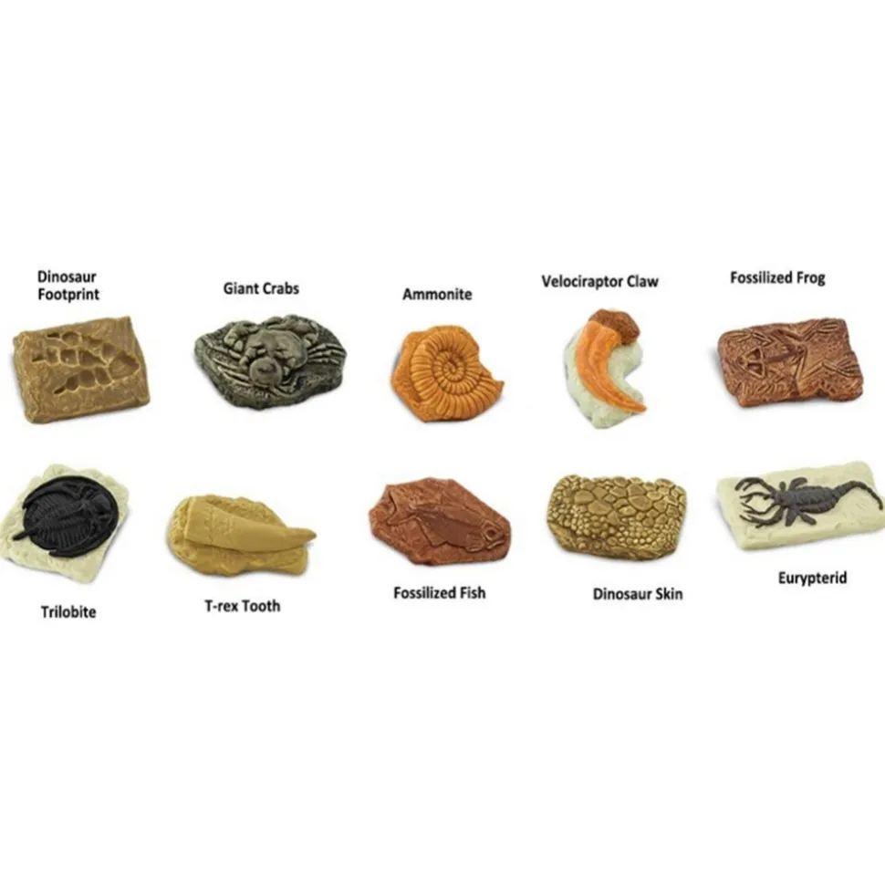 Ancient Fossils Minis 10 Pieces