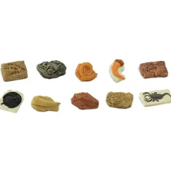 Ancient Fossils Minis 10 Pieces