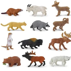 Animals from Across the Land Mini Set