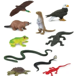 Animals from Across the Land Mini Set