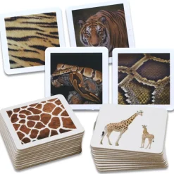 Animal Skin Picture Cards