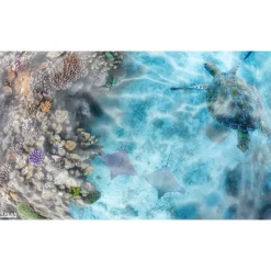 Aquarium Flotex® Hygienic Rug 5' x 3' Rectangle
