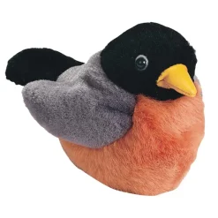 Backyard Birds Set of 3
