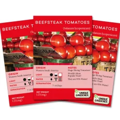 Beefsteak Tomato Seeds 3-Pack