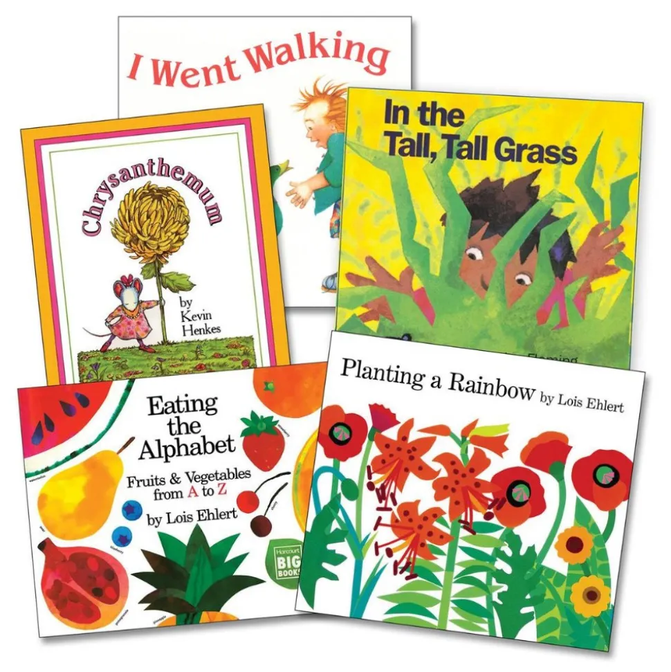 Big Book Starter Set Set of 5