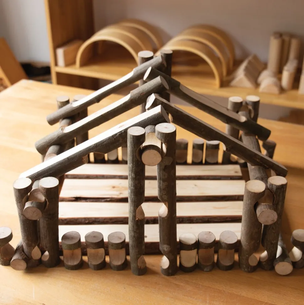 Big Branch Block Builders 125 Piece Set