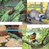 Bilingual Science Paperback Books Set of 4