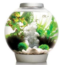 BiOrb 8 Gallon Aquarium Silver