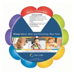 Biting: Before, After, and Preventing "Next Time" Wheel Bilingual Set of 10