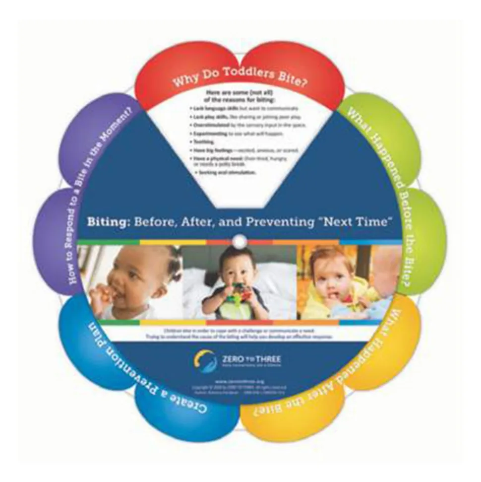 Biting: Before, After, and Preventing "Next Time" Wheel Bilingual Set of 10