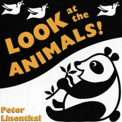 Black and White Board Books Set of 6