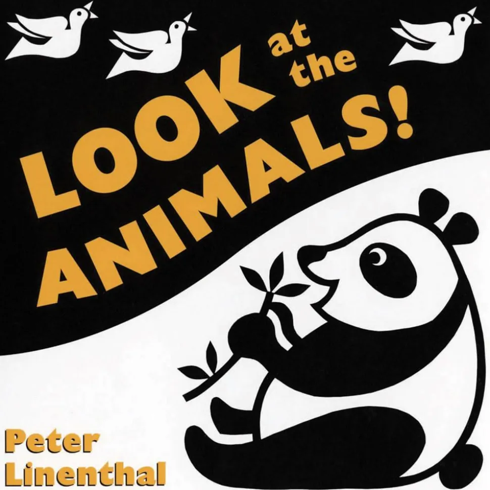 Black and White Board Books Set of 6