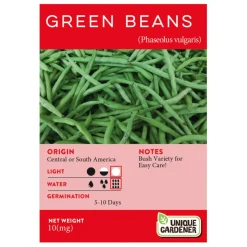 Bush Green Beans Seeds 3-Pack