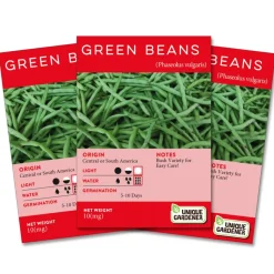 Bush Green Beans Seeds 3-Pack