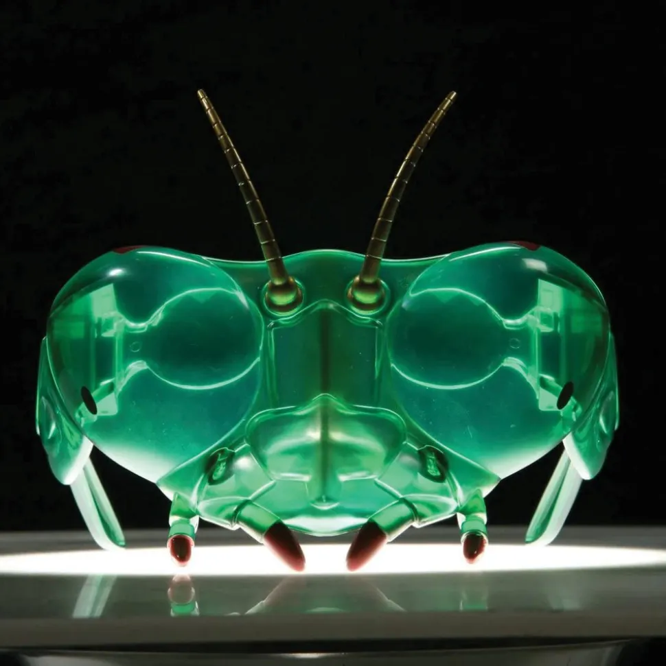 Buzzerks® Bug Goggles
