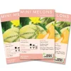 Cantaloupe 3-Pack