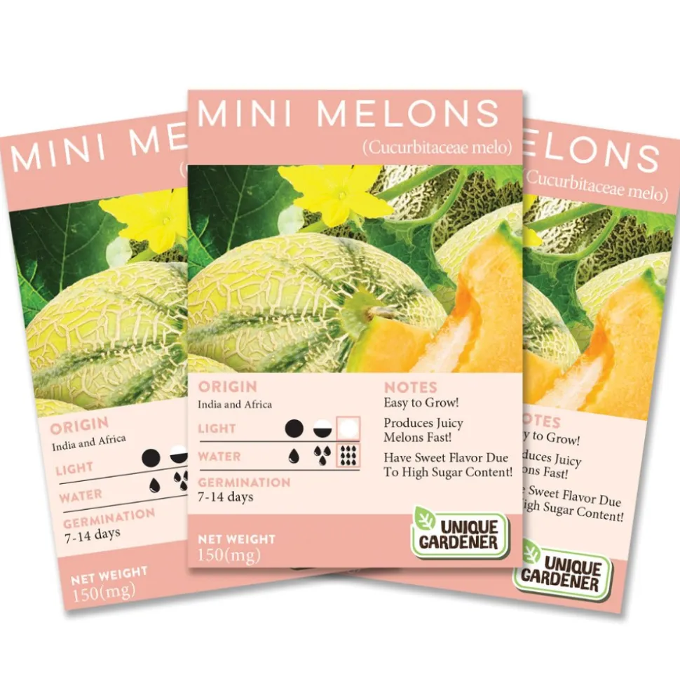 Cantaloupe 3-Pack