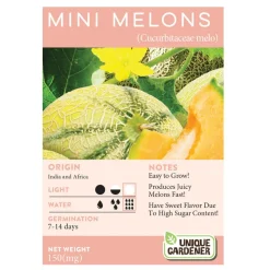 Cantaloupe 3-Pack