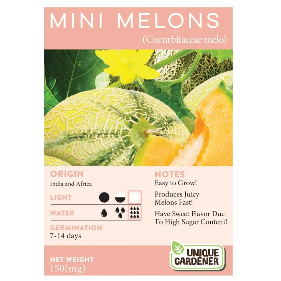 Cantaloupe 3-Pack