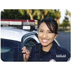 Career Puzzles Set of 6