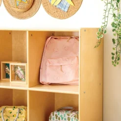 Carolina Backpack Storage Locker