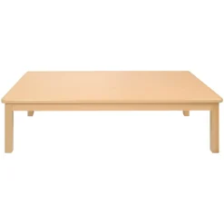 Carolina Laminate 24" x 48" Rectangle Table in Varied Heights