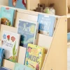 Carolina Large 5-Shelf Wood Book Display