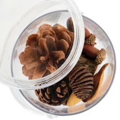 Carry and Discover Magnification Containers Set of 2