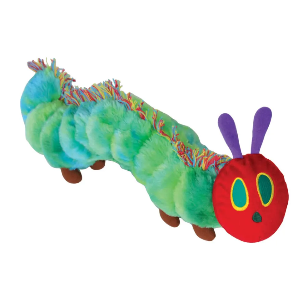 Caterpillar to Butterfly