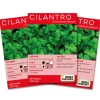 Cilantro Seeds 3-Pack