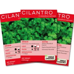 Cilantro Seeds 3-Pack