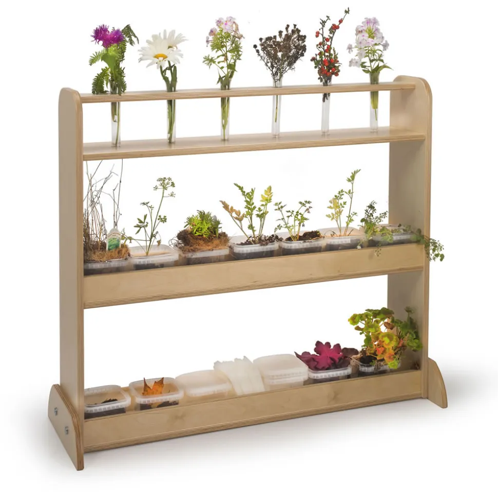 Classroom Nature Shelf Plant Growing & Science Center