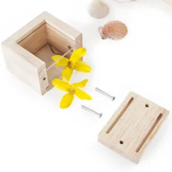 Clear Treasure Blocks Set of 8