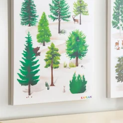 Coniferous Tree Giclee Classroom Wall Print