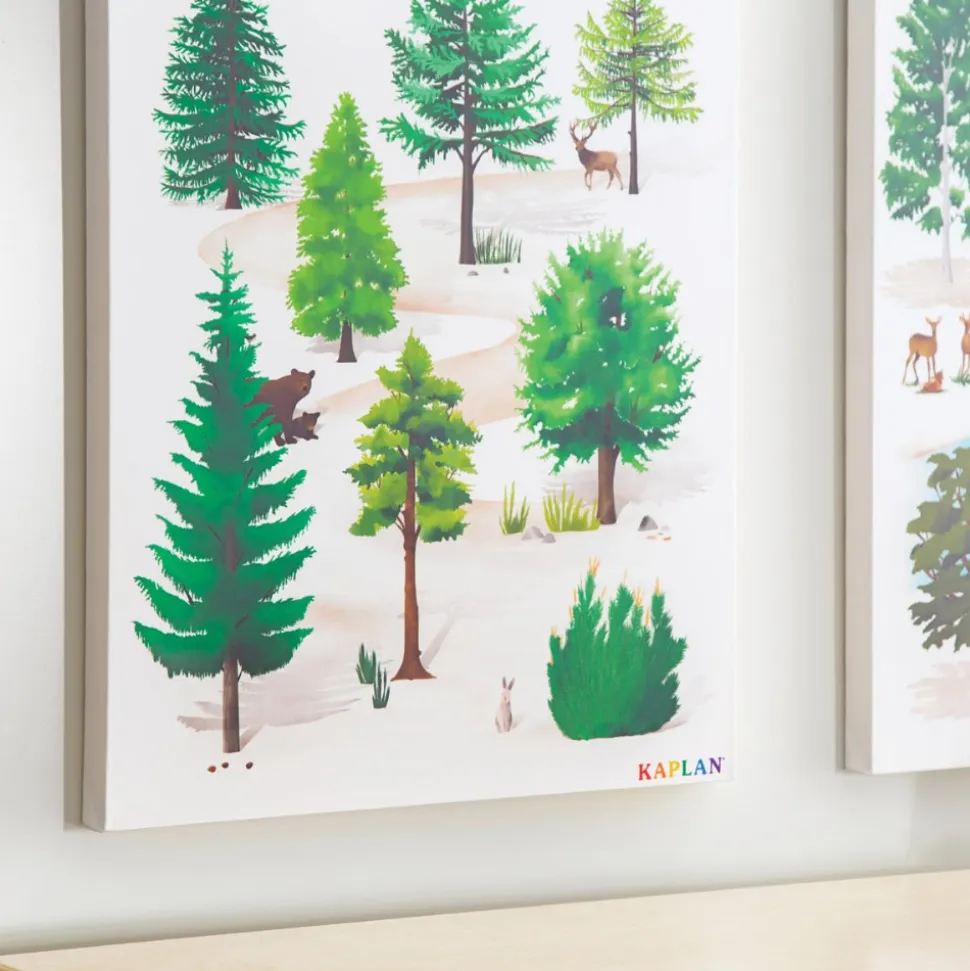 Coniferous Tree Giclee Classroom Wall Print
