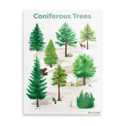Coniferous Tree Giclee Classroom Wall Print