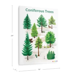 Coniferous Tree Giclee Classroom Wall Print