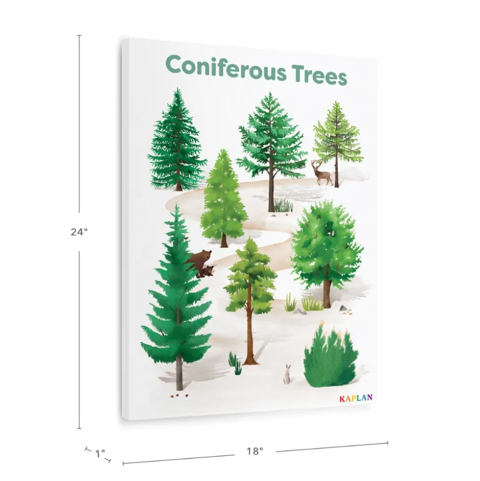 Coniferous Tree Giclee Classroom Wall Print