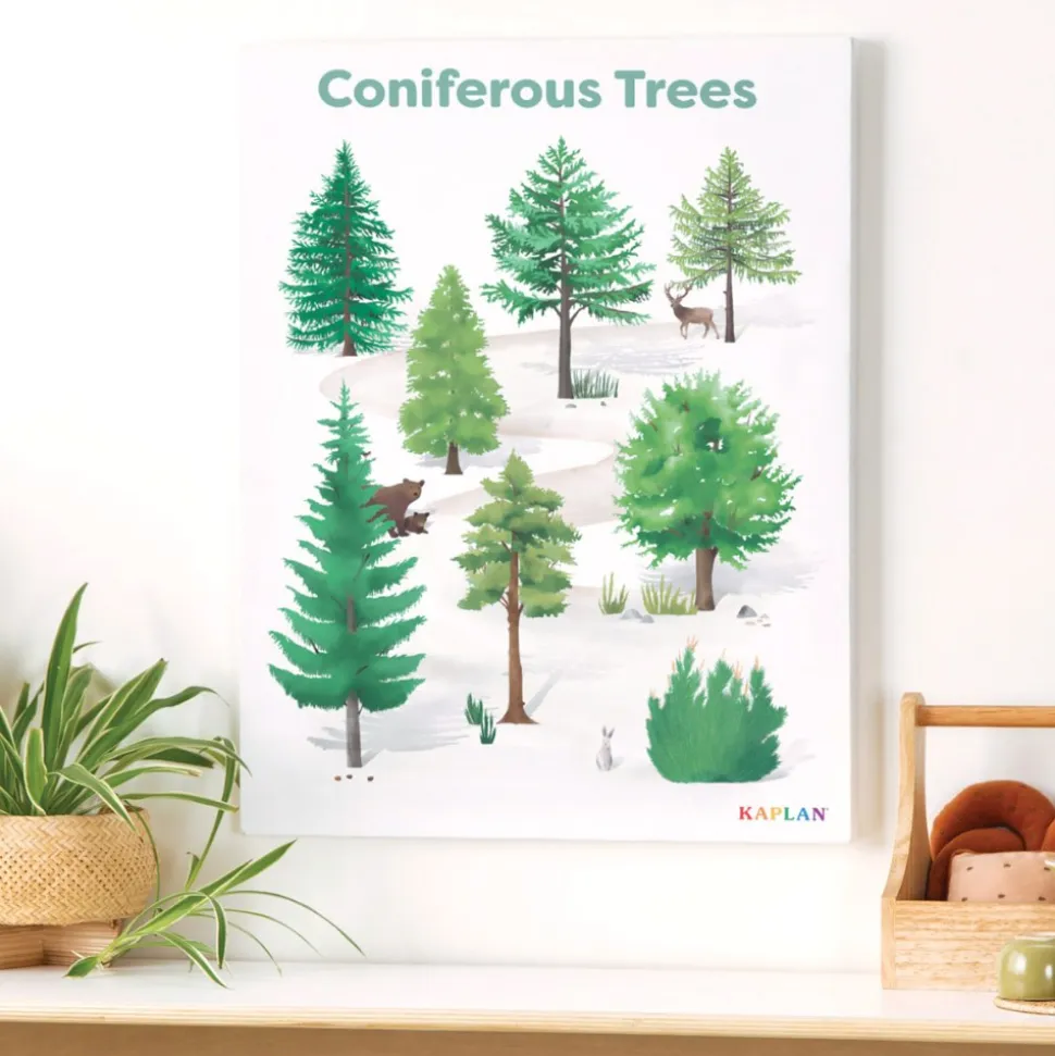 Coniferous Tree Giclee Classroom Wall Print
