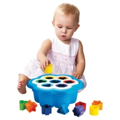 Daisy Shape Sorter