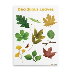 Deciduous Leaves Giclee Classroom Wall Print