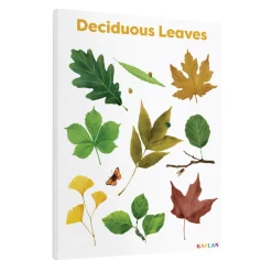 Deciduous Leaves Giclee Classroom Wall Print