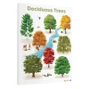Deciduous Trees Giclee Classroom Wall Print