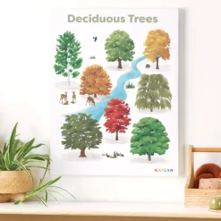 Deciduous Trees Giclee Classroom Wall Print