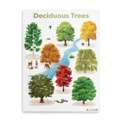 Deciduous Trees Giclee Classroom Wall Print