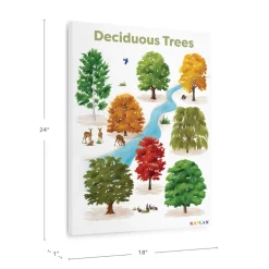 Deciduous Trees Giclee Classroom Wall Print