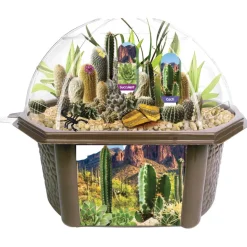 Desert Dome